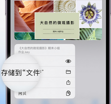 铜川apple维修中心分享iPhone文件应用中存储和找到下载文件