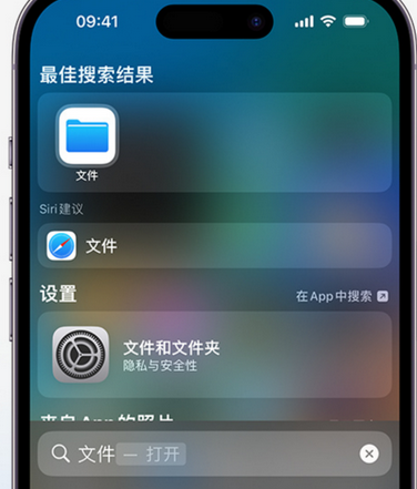 铜川apple维修中心分享iPhone文件应用中存储和找到下载文件 