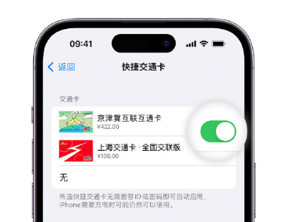 铜川apple维修点分享iPhone上更换Apple Pay快捷交通卡手绘卡面 