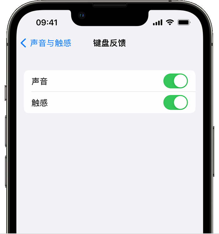 铜川苹果14维修店分享如何在 iPhone 14 机型中使用触感键盘 