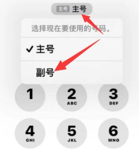 铜川苹果14维修店分享iPhone 14 Pro Max使用副卡打电话的方法 