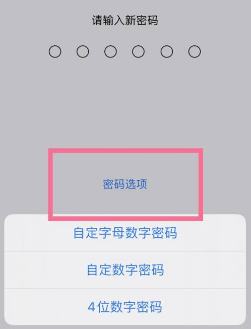 铜川苹果14维修分享iPhone 14plus设置密码的方法 