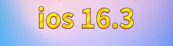 铜川苹果服务网点分享苹果iOS16.3升级反馈汇总 