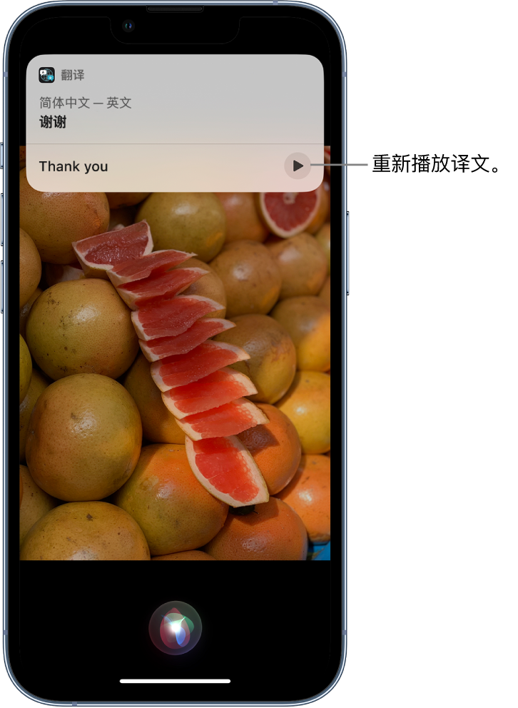 铜川苹果14维修分享 iPhone 14 机型中使用 Siri：了解 Siri 能帮你做什么 