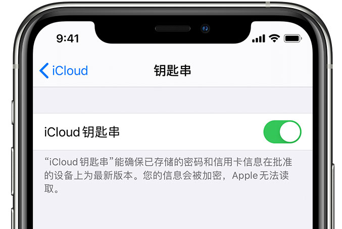 铜川苹果手机维修分享在 iPhone 上开启 iCloud 钥匙串之后会储存哪些信息 