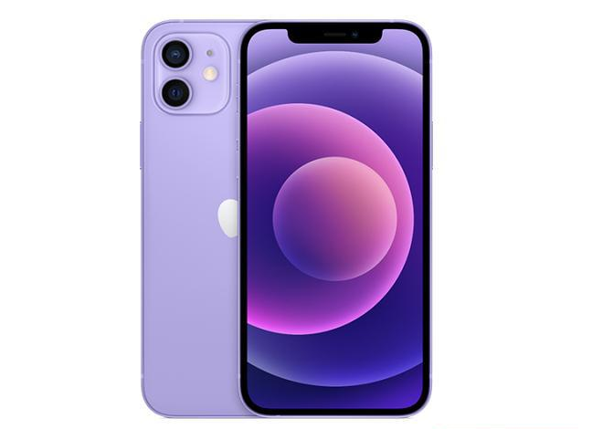 铜川苹果手机维修分享现阶段要不要入手紫色版iPhone12 